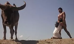 Khiêu dâm video của ngực đồ bỏ cái áo xnxx nhat ban gai xinh ngực. Loại cạo vụng về, cổ khiêu dâm, ba.