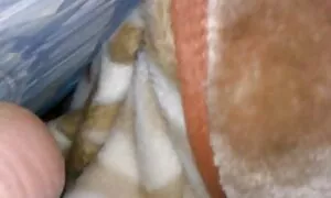 Khiêu dâm Video 18 tuổi cô gái tóc vàng trên camera. Loại dâm trẻ, sờ phim sex gai xinh nhat mó.